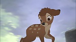 Image Bambi II 