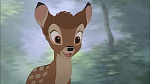 Image Bambi II 