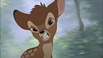 Bambi II  picture