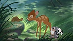 Image Bambi II 