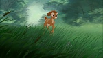 Image Bambi II 