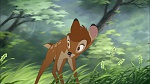 Image Bambi II 