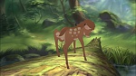 Image Bambi II 
