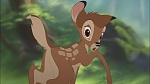 Image Bambi II 