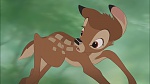 Image Bambi II 