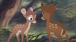 Image Bambi II 