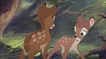 Bambi II  picture