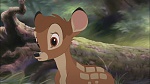 Image Bambi II 