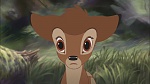 Image Bambi II 