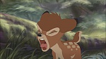 Image Bambi II 