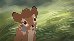 Image Bambi II 