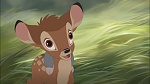 Image Bambi II 