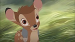 Image Bambi II 