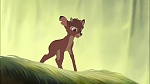 Image Bambi II 