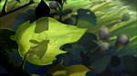 Image Bambi II 