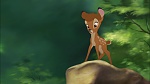 Image Bambi II 