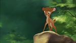 Image Bambi II 