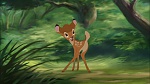 Image Bambi II 