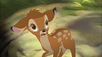 Image Bambi II 