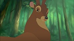 Image Bambi II 