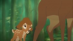 Image Bambi II 