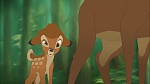 Bambi II  picture