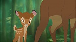 Image Bambi II 