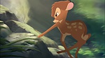 Image Bambi II 