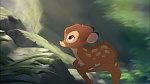 Image Bambi II 