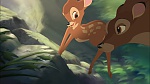 Image Bambi II 
