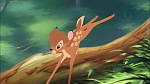 Image Bambi II 