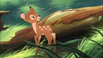 Image Bambi II 