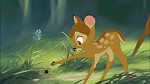 Image Bambi II 
