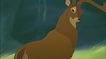 Image Bambi II 