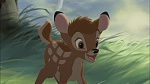 Image Bambi II 