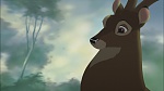 Image Bambi II 