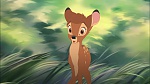 Image Bambi II 