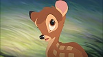 Image Bambi II 
