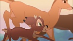 Image Bambi II 