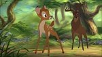 Image Bambi II 