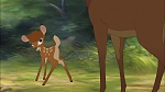Image Bambi II 