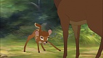 Bambi II  picture