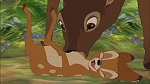 Image Bambi II 