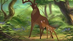 Image Bambi II 