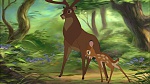 Image Bambi II 