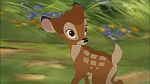 Image Bambi II 