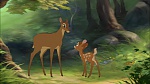 Image Bambi II 