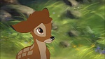 Image Bambi II 