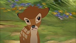 Image Bambi II 