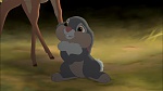 Image Bambi II 